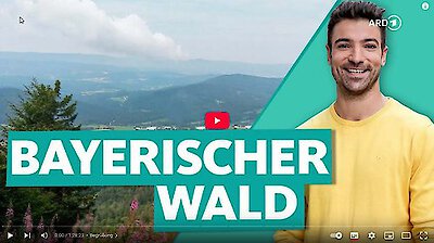 Bayerischer Wald – Deutschlands wildeste Seite